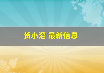 贺小滔 最新信息